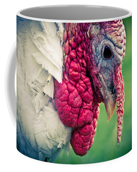 Turkey Coffee Mug featuring the photograph Pensive Turkey by Priya Ghose