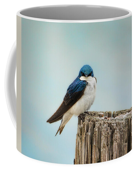 Bird Coffee Mug featuring the photograph Perched and Waiting by Jai Johnson