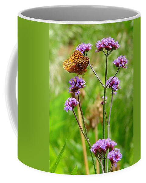Fine Art Coffee Mug featuring the photograph Perched by Rodney Lee Williams