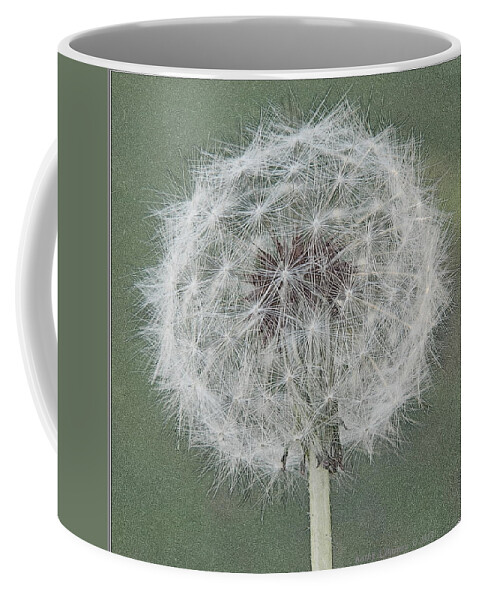 Dandelion Coffee Mug featuring the photograph Perfect Dandelion by Kathy Barney