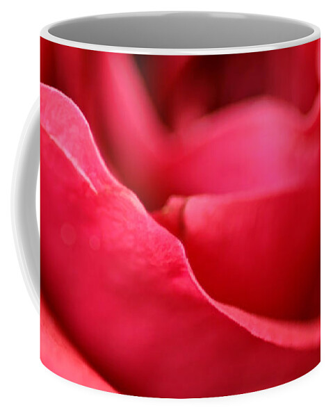 Flowers Coffee Mug featuring the photograph Perfection by Nikolyn McDonald