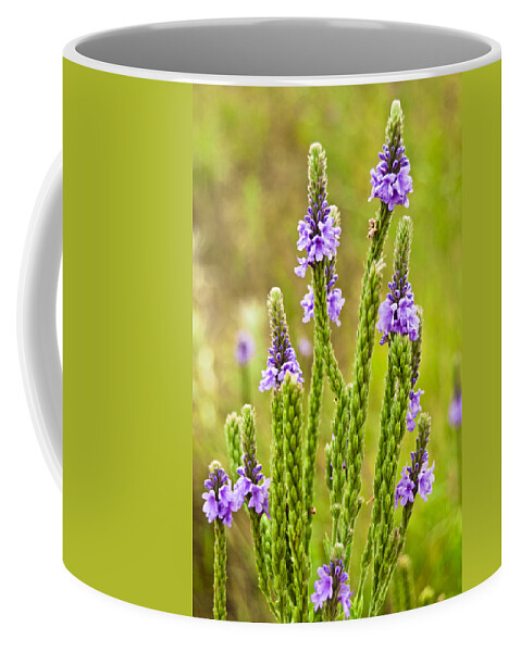 Bloom Coffee Mug featuring the photograph Perky Purples by Christi Kraft