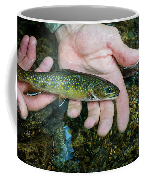 Nature Coffee Mug featuring the photograph Person Holding Young Brook Trout by Joe Klementovich