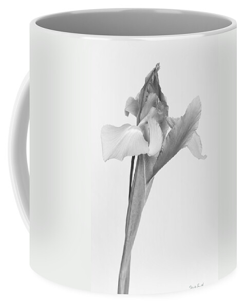 Flower Coffee Mug featuring the photograph Persuade by Heidi Smith