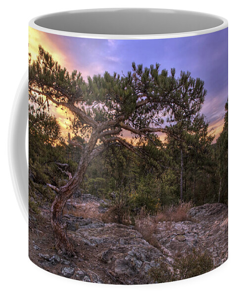 Petit Jean Coffee Mug featuring the photograph Petit Jean Mountain Bonsai Tree - Arkansas by Jason Politte