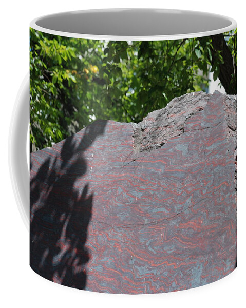 Petrified Wood Coffee Mug featuring the photograph Petrified Wood on Display by Kenny Glover