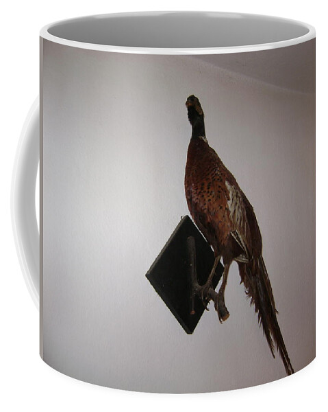 Birds Coffee Mug featuring the photograph Pheasant by Moshe Harboun