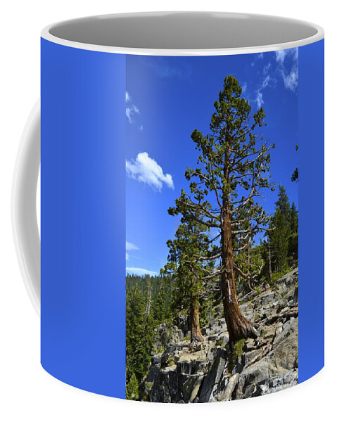  Emerald Bay Coffee Mug featuring the photograph Trees Near Emerald Bay Lake Tahoe by Alex King