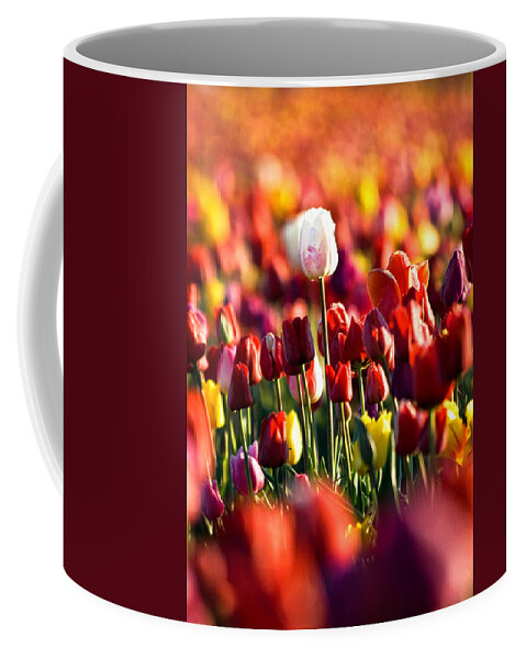 Tulip Coffee Mug featuring the photograph Pick Me by Ronda Kimbrow