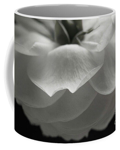 Nature Coffee Mug featuring the photograph Pierre de Ronsard Rose by Julia Hiebaum