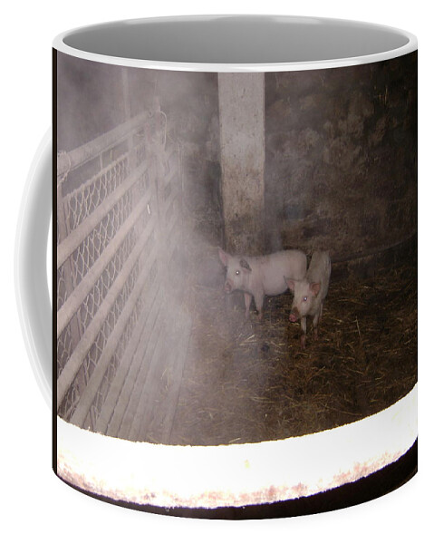 Pigs Coffee Mug featuring the photograph Piggies by Moshe Harboun