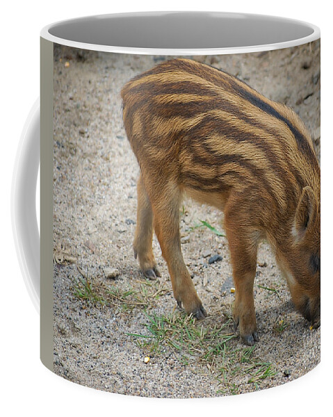Wild Boar Coffee Mug featuring the photograph Piglet by Bianca Nadeau
