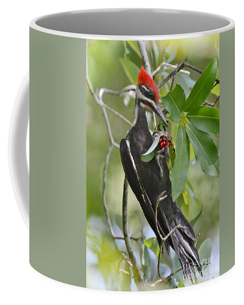 Woodpecker Coffee Mug featuring the photograph Pileated Woodpecker by Kathy Baccari