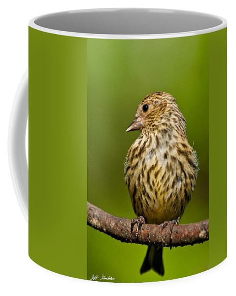Animal Coffee Mug featuring the photograph Pine Siskin With Yellow Coloration by Jeff Goulden
