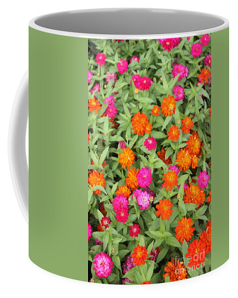 Pink Coffee Mug featuring the photograph Pink and Orange Flowers by Alice Terrill