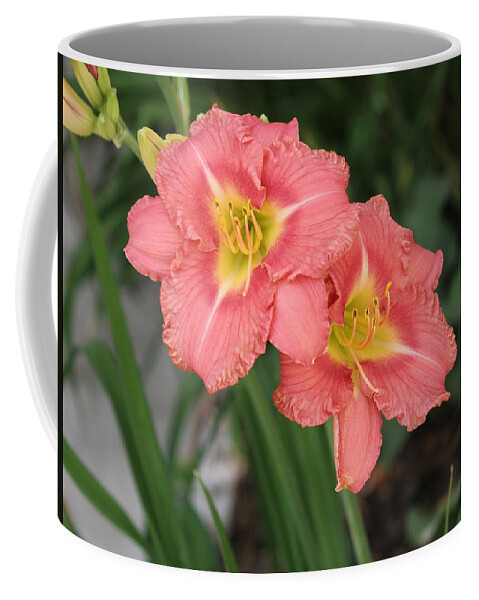 Pink Coffee Mug featuring the photograph Pink Asiatic Lily by Allan Levin