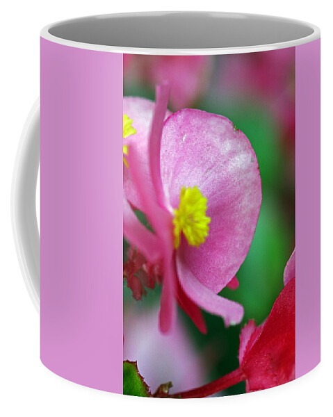Flowers Coffee Mug featuring the photograph Pink Begonia by Jennifer Robin