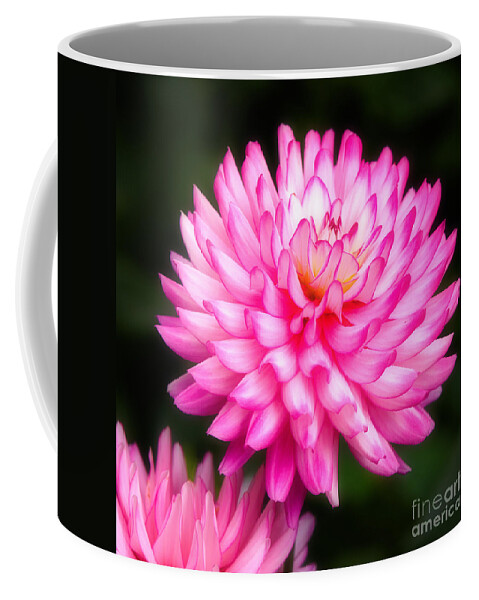 Closeup Coffee Mug featuring the photograph Pink Chrysanths by Nick Biemans