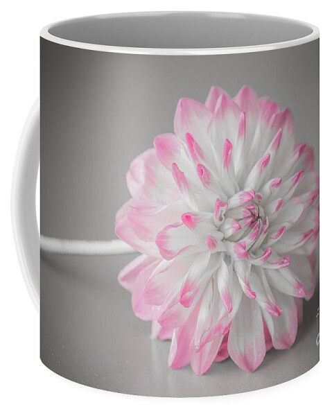 Flower Coffee Mug featuring the photograph Pink Dahlia by Amanda Mohler