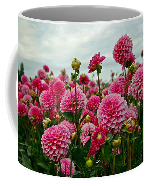 Dahlia Coffee Mug featuring the photograph Pink Dahlia Field by Athena Mckinzie