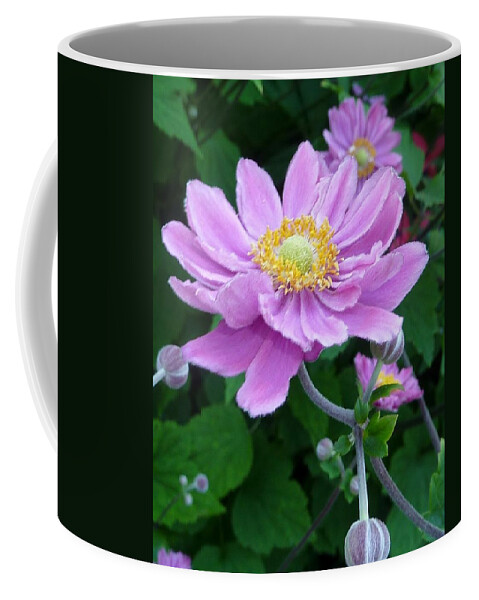 Flower Coffee Mug featuring the photograph Pink Dancer by Susan Garren