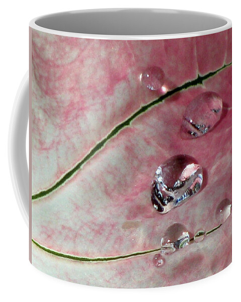 Caladium Coffee Mug featuring the photograph Pink Fancy Leaf Caladium - September Tears by Pamela Critchlow