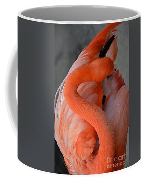 Pink Flamingo Coffee Mug featuring the photograph Pink Flamingo by Robert Meanor