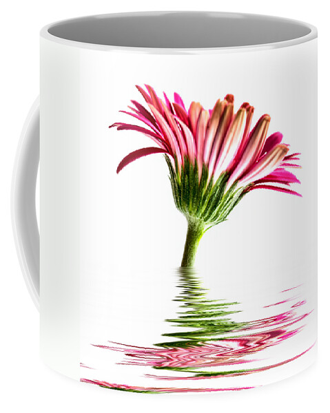 Pink Gerbera Flower Coffee Mug featuring the photograph Pink Gerbera Flood 2 by Steve Purnell