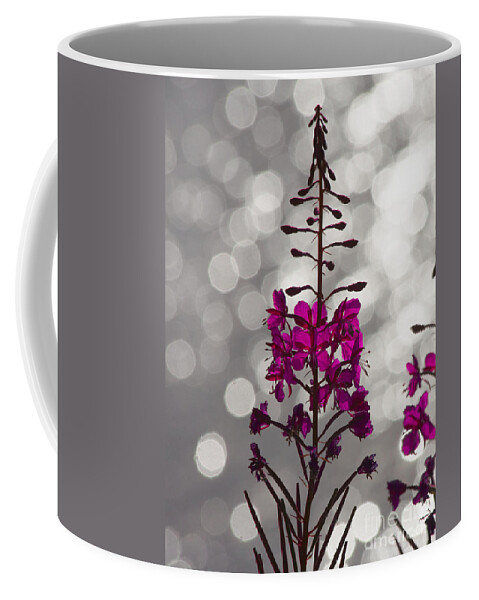 Fireweed Coffee Mug featuring the photograph Pink by Heiko Koehrer-Wagner