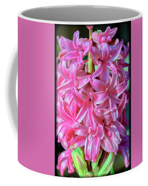 Flower Coffee Mug featuring the photograph Pink Hyacinth by Tikvah's Hope