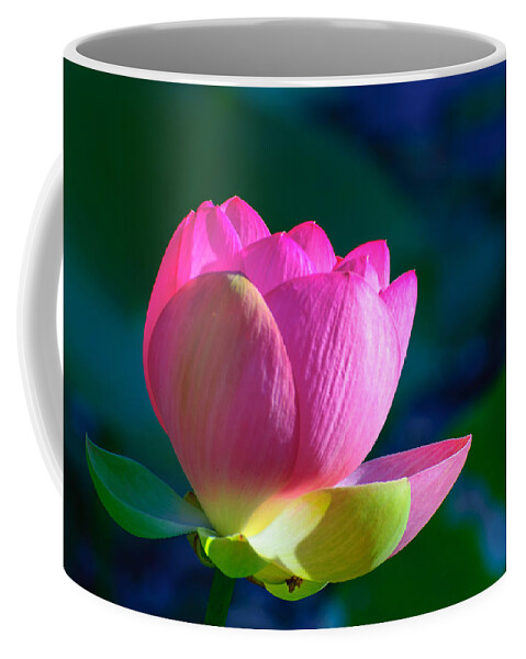 Water Lily Coffee Mug featuring the photograph Pink lily by John Johnson