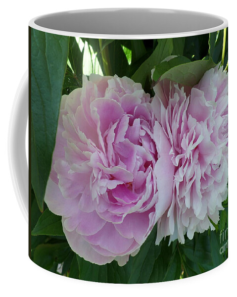 Pink Peonies Coffee Mug featuring the photograph Pink Peonies 2 by HEVi FineArt