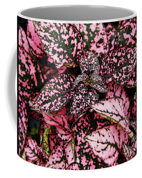 Polka Dot Coffee Mug featuring the photograph Pink - Plant - Petals by D Hackett
