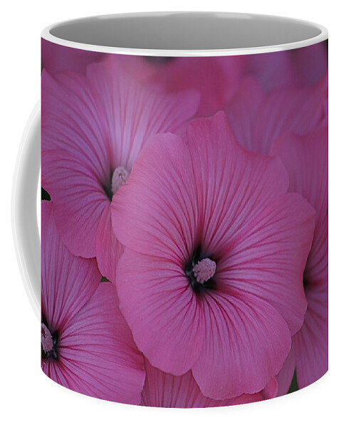 Summer Coffee Mug featuring the photograph Pink Petunia by Alicia Kent