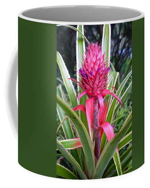  Bromeliaceae Coffee Mug featuring the photograph Pink Pineapple Bromeliad by Venetia Featherstone-Witty