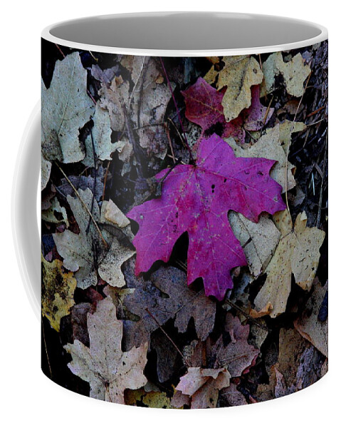 Leaf Coffee Mug featuring the photograph Pink leaf on the forest floor by Ruth Jolly