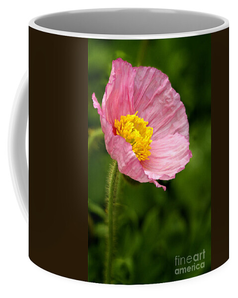 Poppy Coffee Mug featuring the photograph Pink Poppy by Carrie Cranwill
