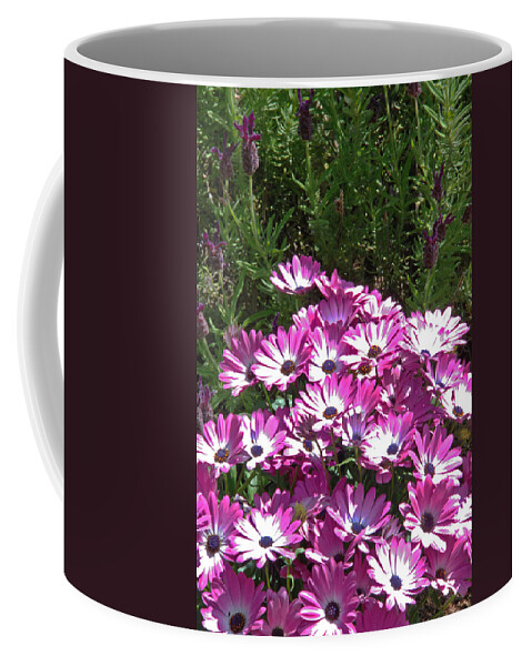 Flowers Coffee Mug featuring the photograph Pink-Purple Blooms by Carol Eliassen