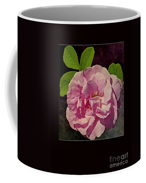 Pink Coffee Mug featuring the photograph Pink Rose Card by Dawn Gari