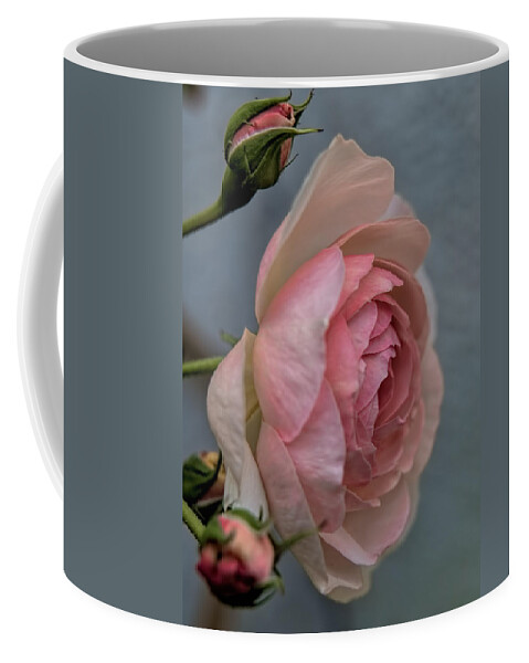 Rose Coffee Mug featuring the photograph Pink rose by Leif Sohlman