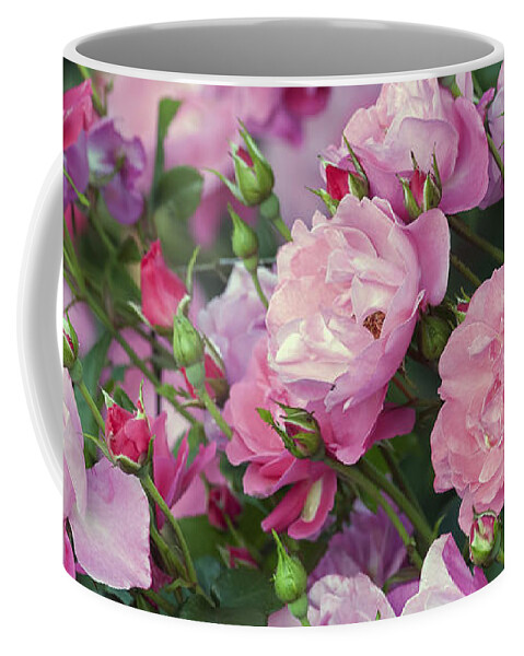 Pink Roses Coffee Mug featuring the photograph Pink Roses by Sharon Talson