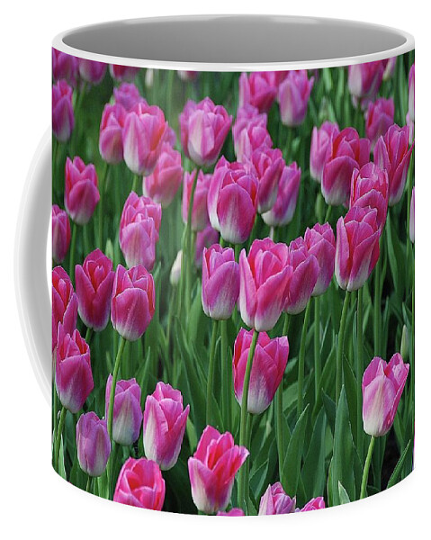 Pink Tulips Coffee Mug featuring the photograph Pink Tulips 2 by Allen Beatty