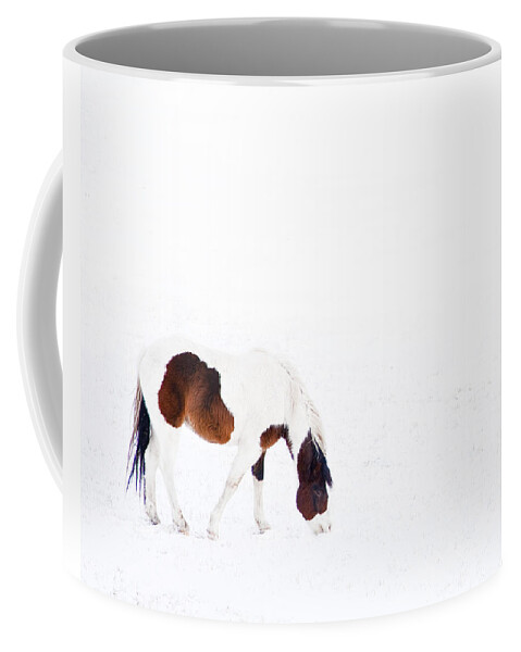 Small Horse Coffee Mug featuring the photograph Pinto Pony by Theresa Tahara