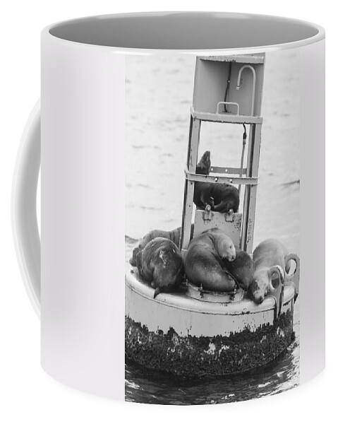 Seal Coffee Mug featuring the photograph Pit Stop Black and White by Scott Campbell