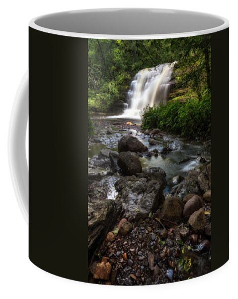 Mark Papke Coffee Mug featuring the photograph Pixley Falls by Mark Papke