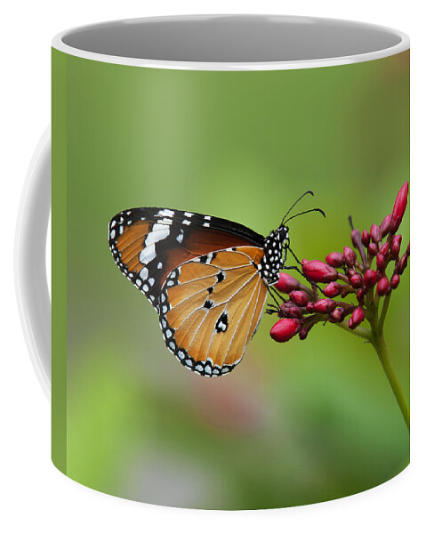 Bangkok Coffee Mug featuring the photograph Plain Tiger or African Monarch Butterfly DTHN0008 by Gerry Gantt