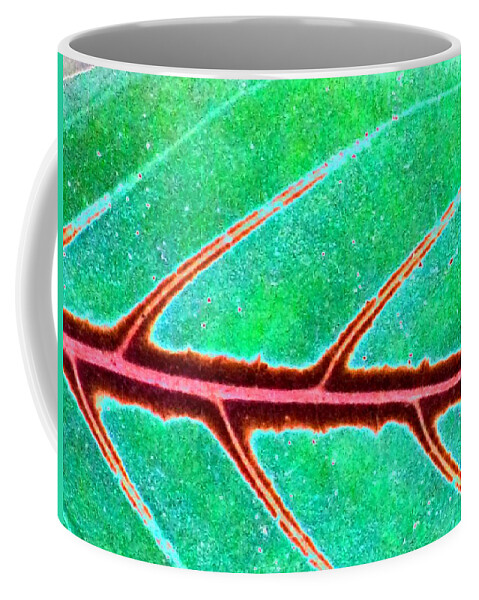 Plant Coffee Mug featuring the photograph Plant Pattern - PhotoPower 1852 by Pamela Critchlow