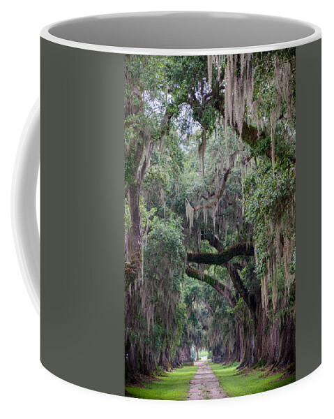 Edgard Coffee Mug featuring the photograph Plantation Path by Jim Shackett