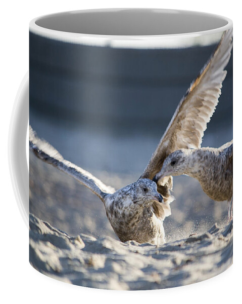 Seagull Coffee Mug featuring the photograph Play Time by Jatin Thakkar