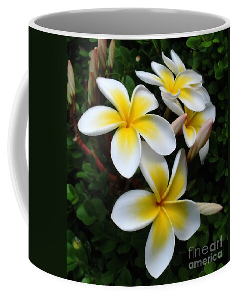 Photography Coffee Mug featuring the photograph Plumeria in the Sunshine by Kaye Menner